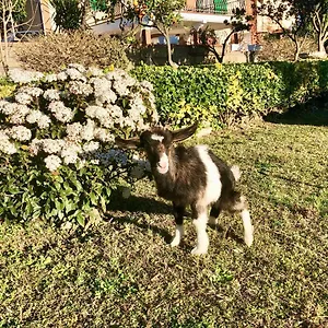 Bed & Breakfast Annetta